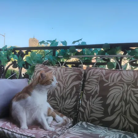 Accommodatie bij particulieren D'hote *